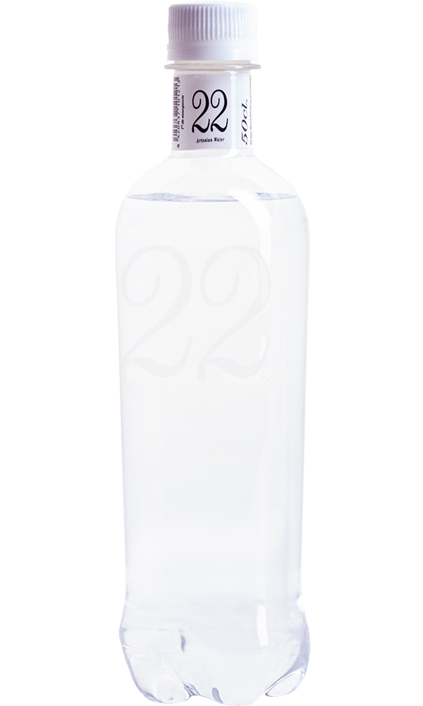 Agua 22 Artesian Con Gas PET 52cl. C-24