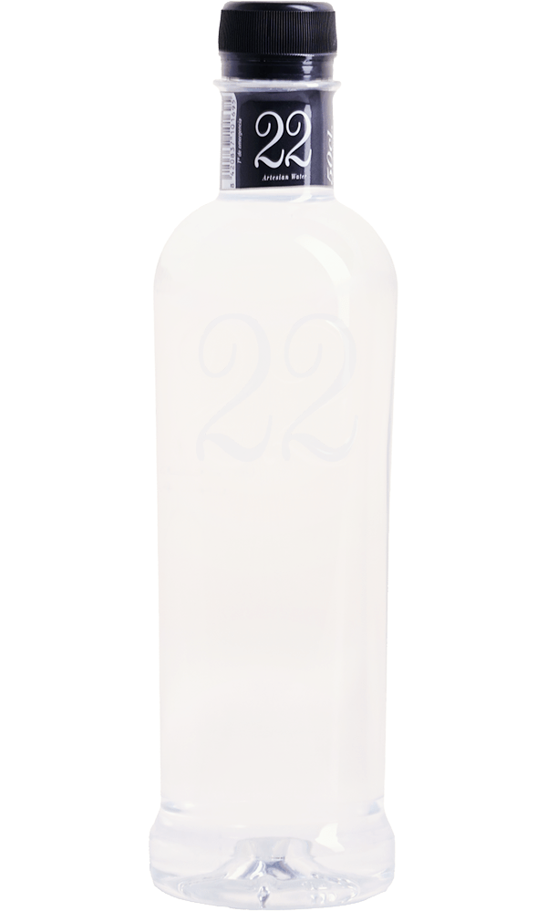 Agua 22 Artesian Sin Gas PET 52cl. C-24