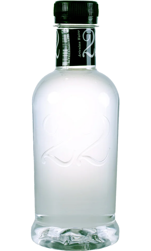 Agua Artesian 22 Plástico 32cl Caja 12 Botellas