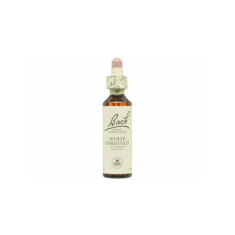 White Chestnut Castaño Blanco 20ml