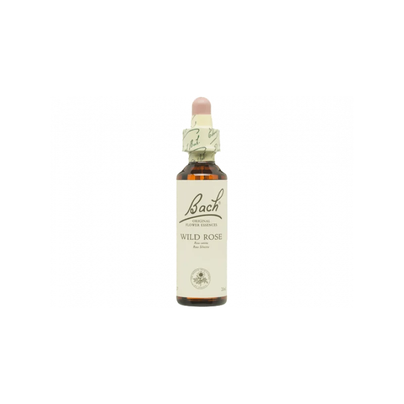 Wild Rose Rosa Silvestre 20ml