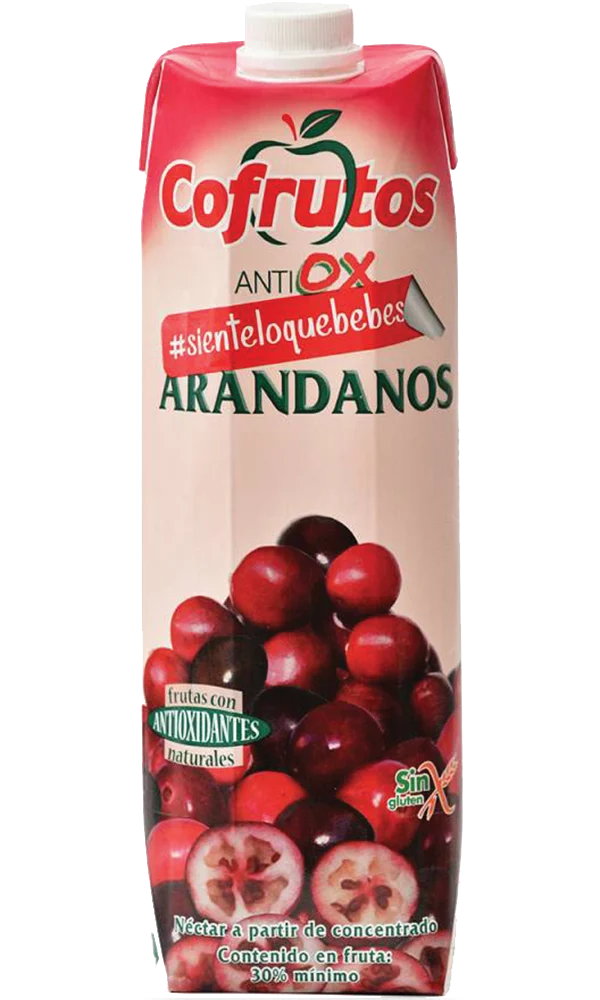 Zumo Cofrutos Arandanos Brick 1l. C-10